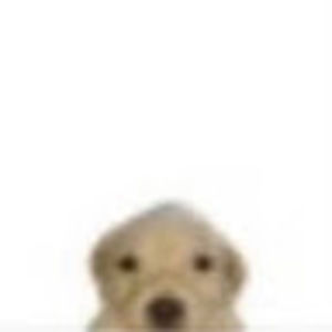 Meet your Posher, Emba